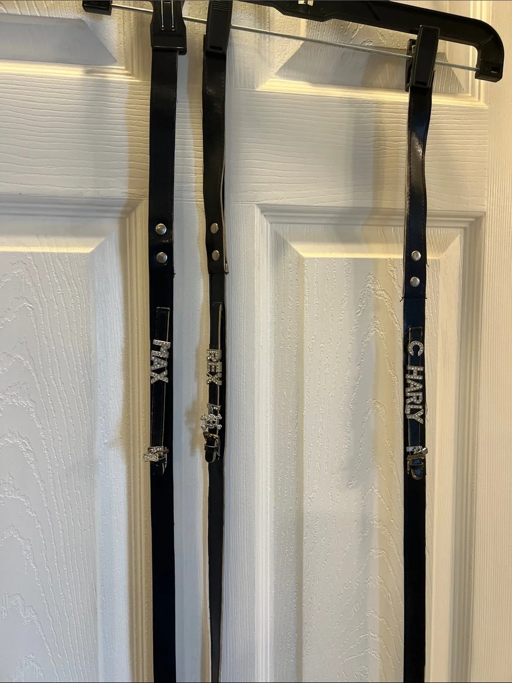 Dog Leashes that can be Personalized